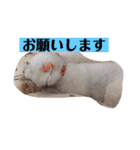 ココノエ（個別スタンプ：14）