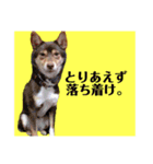 規格外の2匹（個別スタンプ：2）
