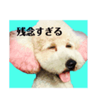 規格外の2匹（個別スタンプ：9）
