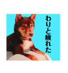 規格外の2匹（個別スタンプ：14）