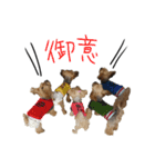 ヨーキーな仲間達part2(写真ver)（個別スタンプ：17）
