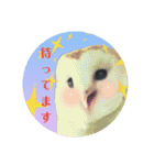 ふくろう だもの。（個別スタンプ：23）