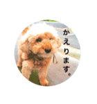 ひーちゃんとさっく（個別スタンプ：1）