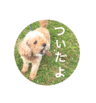 ひーちゃんとさっく（個別スタンプ：2）