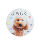 ひーちゃんとさっく（個別スタンプ：7）