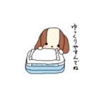 わんころチャン（個別スタンプ：1）