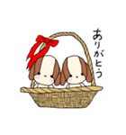 わんころチャン（個別スタンプ：8）