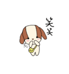 わんころチャン（個別スタンプ：17）