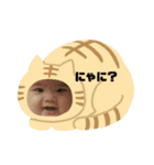 かれたん（個別スタンプ：5）