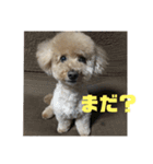 可愛いミルクプリン（個別スタンプ：4）
