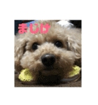 可愛いミルクプリン（個別スタンプ：5）