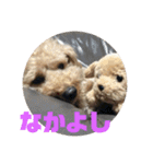 可愛いミルクプリン（個別スタンプ：9）