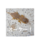 昆虫のキモチ（個別スタンプ：4）