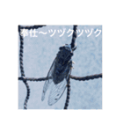 昆虫のキモチ（個別スタンプ：7）