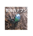 昆虫のキモチ（個別スタンプ：9）