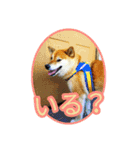 まったり柴犬スタンプ（個別スタンプ：13）