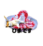 まったり柴犬スタンプ（個別スタンプ：23）