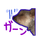 よーきーのわさび第四弾！（個別スタンプ：8）