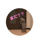 らぶおお爺ちゃんの日常（個別スタンプ：11）