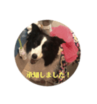 ボーダー万歳！（個別スタンプ：8）