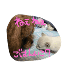 るあちゃん（子猫時代）（個別スタンプ：6）