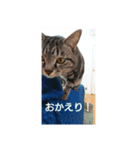 普段使いしやすいように作りました！（個別スタンプ：2）