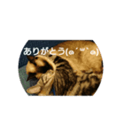 普段使いしやすいように作りました！（個別スタンプ：3）