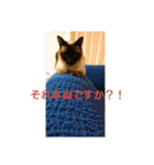 普段使いしやすいように作りました！（個別スタンプ：6）