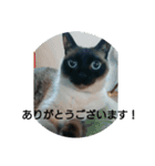 普段使いしやすいように作りました！（個別スタンプ：10）