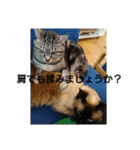 普段使いしやすいように作りました！（個別スタンプ：13）