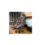 普段使いしやすいように作りました！（個別スタンプ：15）
