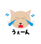 出雲猫（個別スタンプ：1）