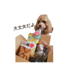 Fify(ふぃふぃー)スタンプ②（個別スタンプ：5）