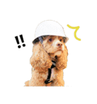 Fify(ふぃふぃー)スタンプ②（個別スタンプ：11）