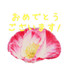 可愛く使えるお花のメッセージ！（個別スタンプ：6）