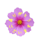 可愛く使えるお花のメッセージ！（個別スタンプ：7）
