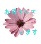 可愛く使えるお花のメッセージ！（個別スタンプ：8）