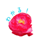 可愛く使えるお花のメッセージ！（個別スタンプ：12）