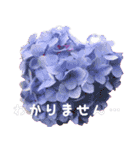 可愛く使えるお花のメッセージ！（個別スタンプ：17）
