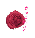 可愛く使えるお花のメッセージ！（個別スタンプ：21）