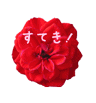 可愛く使えるお花のメッセージ！（個別スタンプ：24）