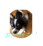 ここ1歳（個別スタンプ：7）