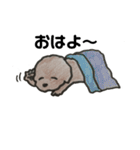 茶色いモフ犬の日常（個別スタンプ：4）