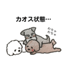茶色いモフ犬の日常（個別スタンプ：16）