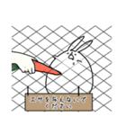 うさぷる（個別スタンプ：40）