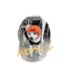 白柴 こむぎ  love（個別スタンプ：8）