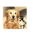 さくらの日常だ（個別スタンプ：1）