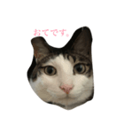 我が家のおての日常。（個別スタンプ：3）