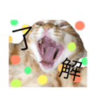 でんスタンプ（個別スタンプ：2）