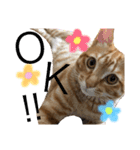 でんスタンプ（個別スタンプ：3）